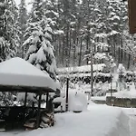 добро поле