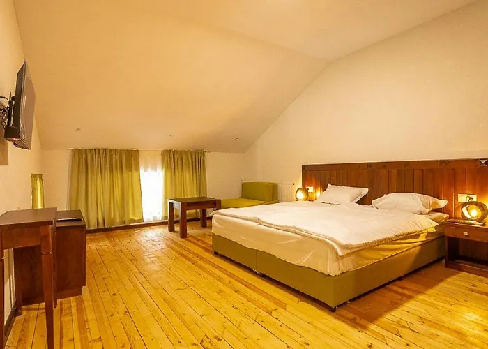 Otel добро поле 2*